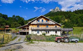 La Ferme De L'âne Rouge